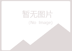 鲁甸县惜雪建设有限公司